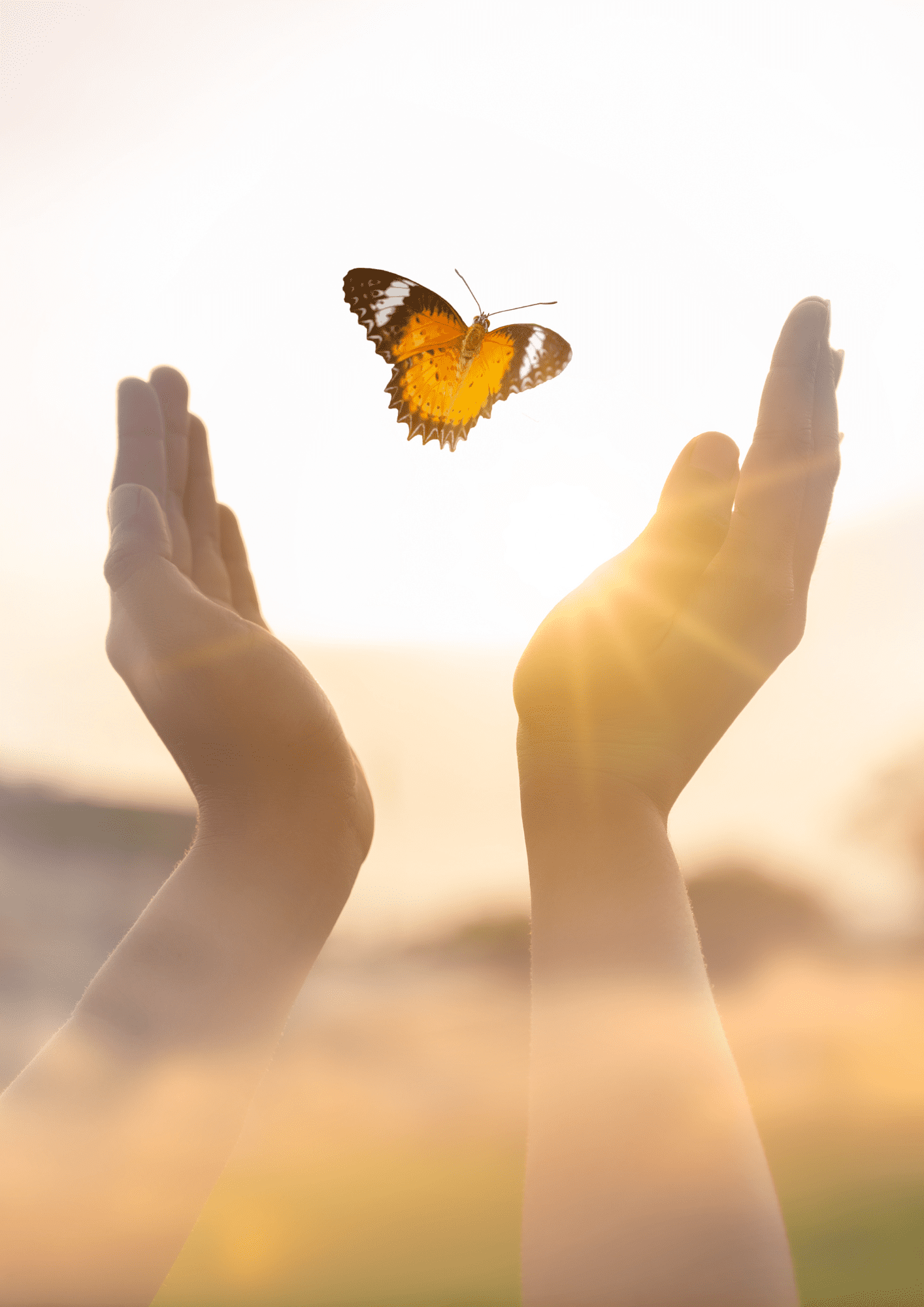L'hypnose thérapeutique : Un outil puissant pour la transformation intérieure Séance d'hypnose thérapeutique personnalisée avec un praticien, visant à libérer des blocages émotionnels et à favoriser le changement durable.