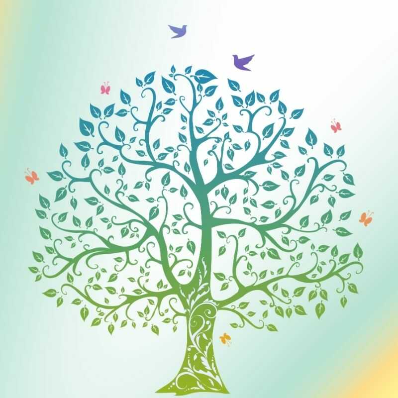Hypnose Transgénérationnelle Cagnes-sur-Mer