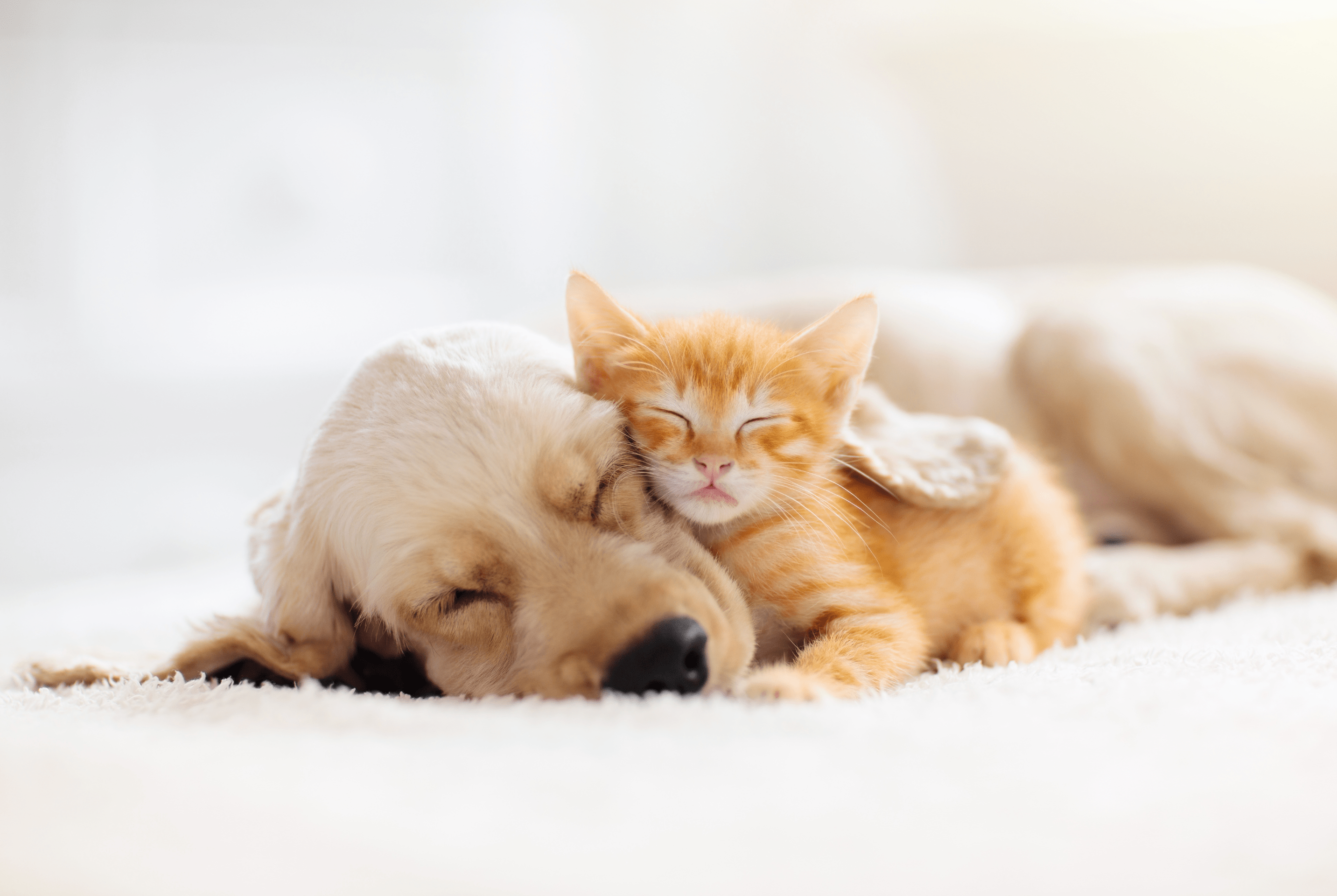 Hypnose sommeil Vence Traitement insomnie par hypnose Vence