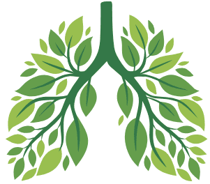 Illustration symbolique des poumons retrouvant progressivement leur capacité respiratoire après le sevrage tabagique.